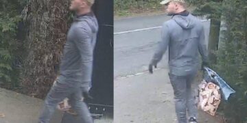 Image of burglary suspect released after break-in