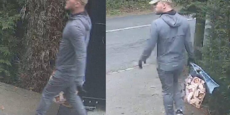 Image of burglary suspect released after break-in