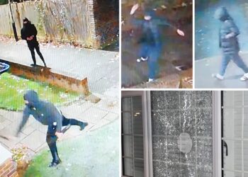 Police hunt yobs who keep targeting same house