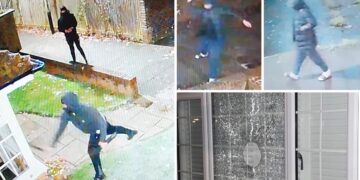 Police hunt yobs who keep targeting same house