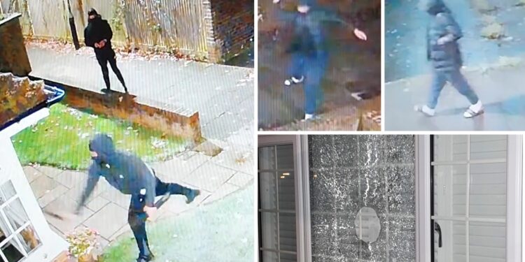 Police hunt yobs who keep targeting same house