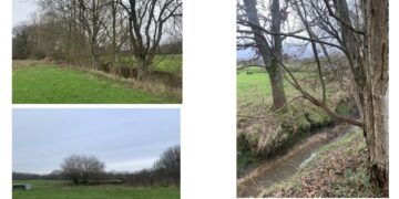 New pond and orchard planned for rewilding project