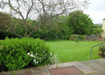 Village green handed over to community trust