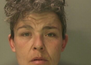 Violent doorstep parcel thief jailed