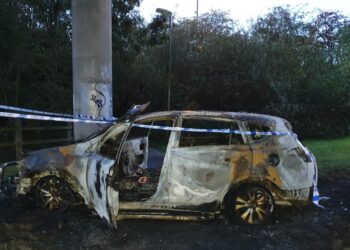 Pair torched car in bizarre drugs revenge plot