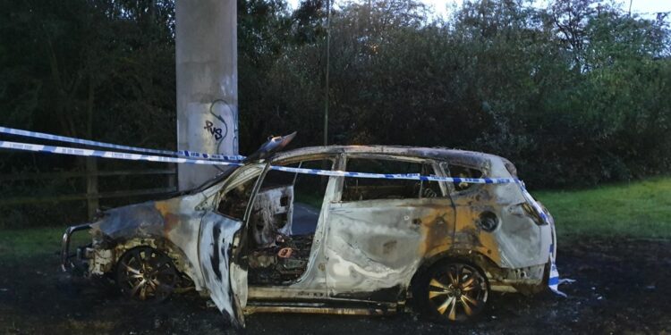 Pair torched car in bizarre drugs revenge plot