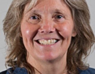 Councillor quits in protest at postponed elections