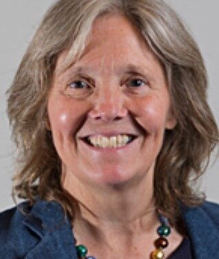 Councillor quits in protest at postponed elections