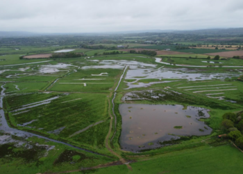 National park agrees wildlife boost for wetland