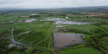 National park agrees wildlife boost for wetland