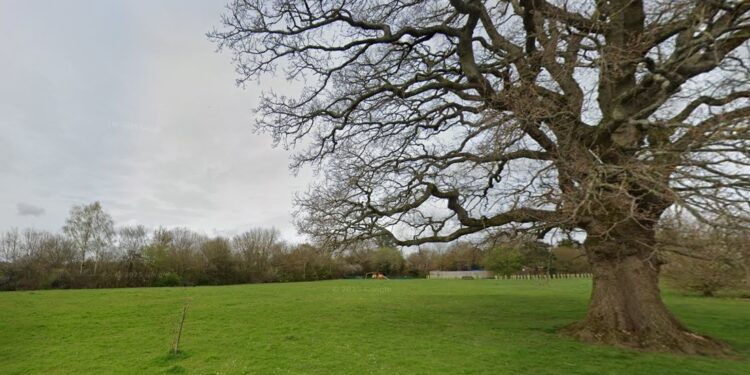 Village gets a new green