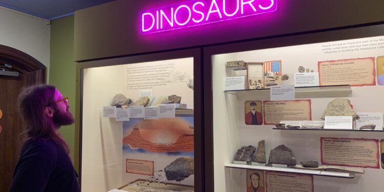 Dinosaur gallery roars back into life