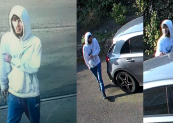 Man filmed trying to break into cars