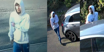 Man filmed trying to break into cars