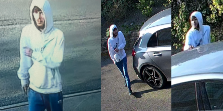 Man filmed trying to break into cars