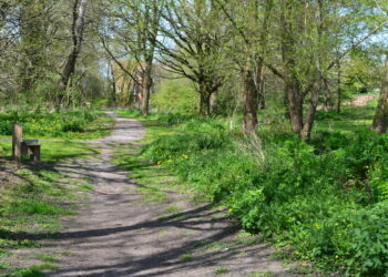 Woman, 77, attacked in her home by man in balaclava