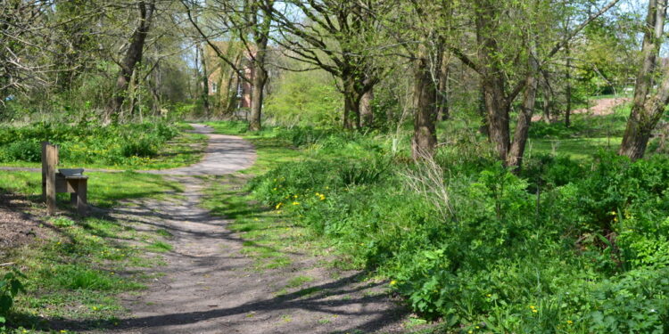 Woman, 77, attacked in her home by man in balaclava
