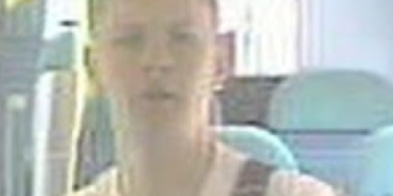 Suspected fare dodger attacks ticket inspector on train