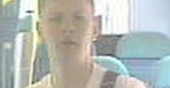 Suspected fare dodger attacks ticket inspector on train