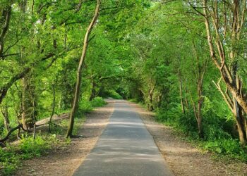 Police arrest suspected Cuckoo Trail flasher