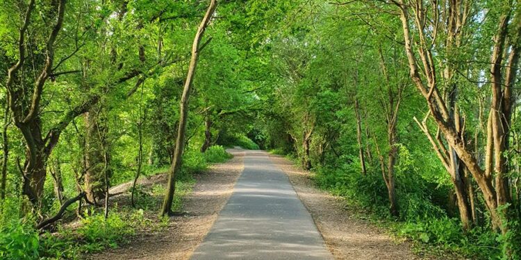 Police arrest suspected Cuckoo Trail flasher