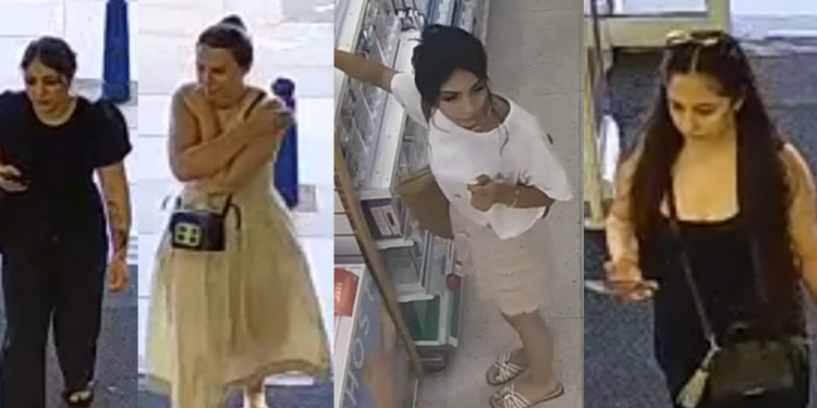 Women steal goods worth £1.6k from a single shop