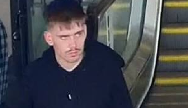 Girl, 15, sexually assaulted on train this afternoon