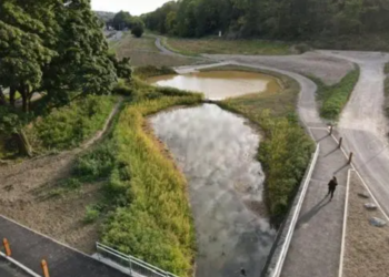 Southern Water and councils agree deal to cut storm overflows