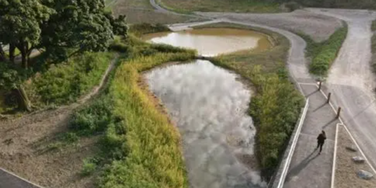 Southern Water and councils agree deal to cut storm overflows
