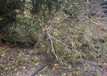 Storms leave roads blocked by fallen trees and floods in hundreds of places